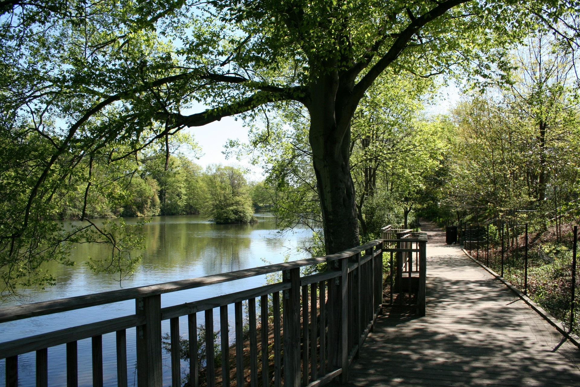 Piedmont Park Clara Meer Restoration