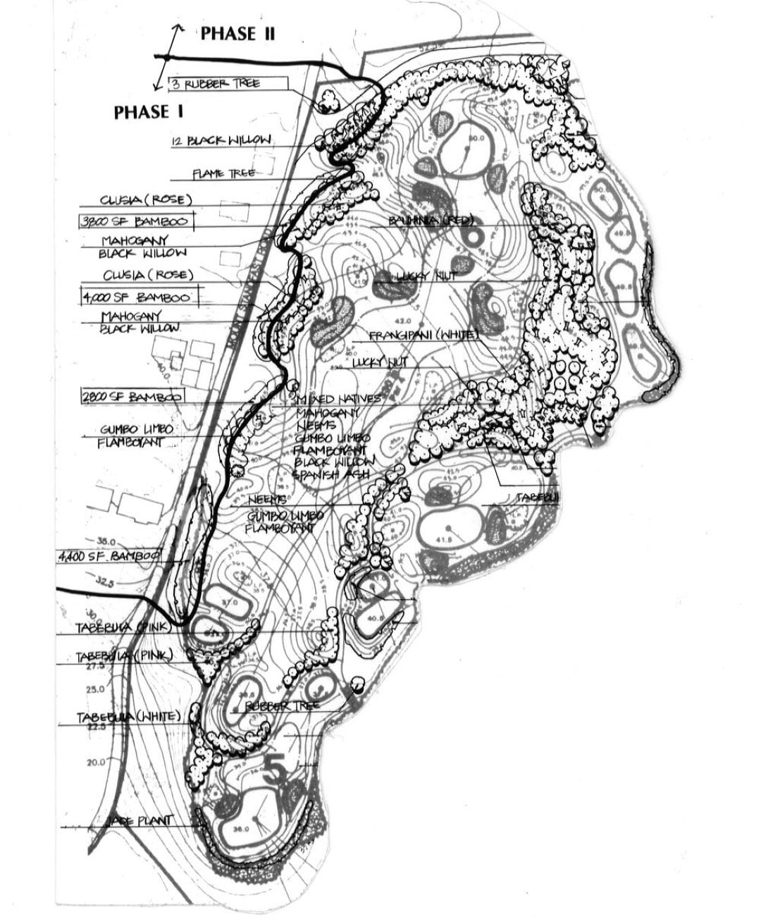 - TSW Planning Architecture Landscape Architecture, Atlanta