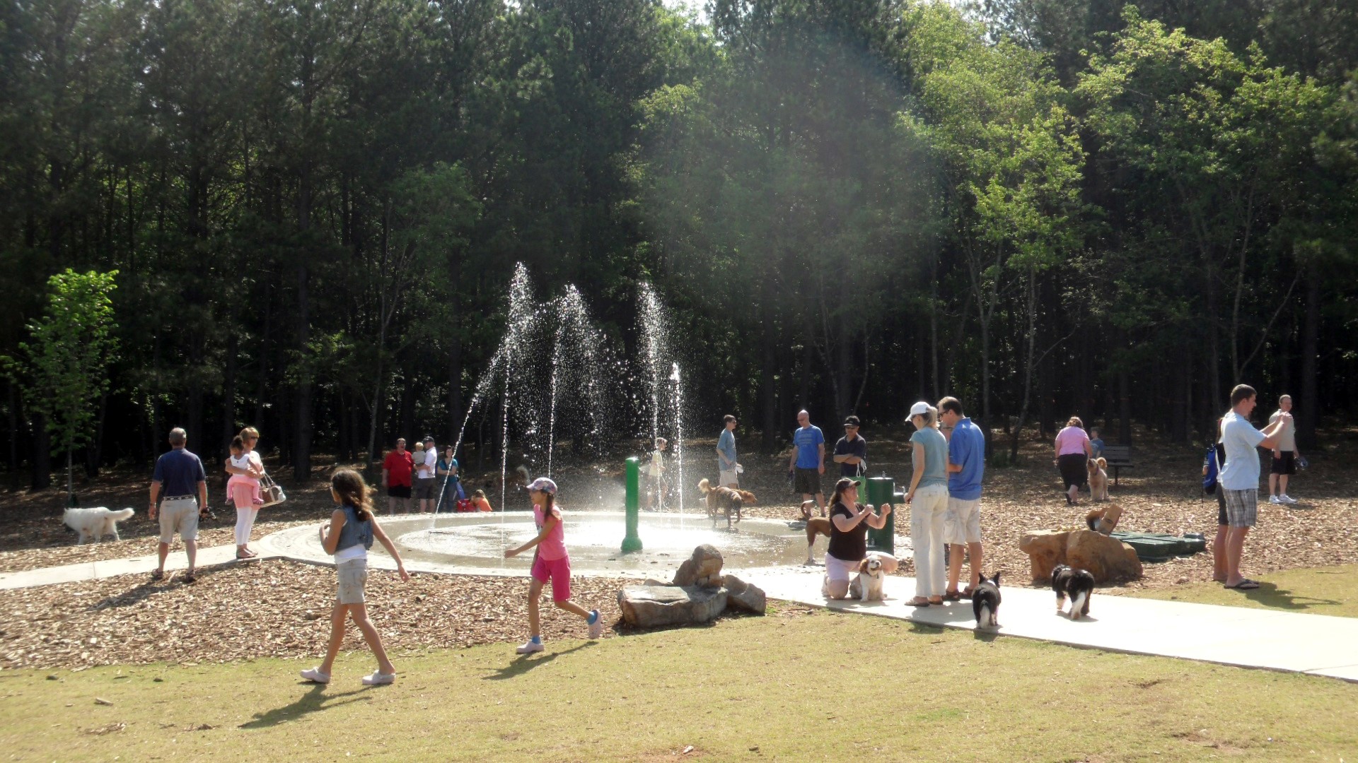 Rogers Bridge Dog Park and Rain Garden