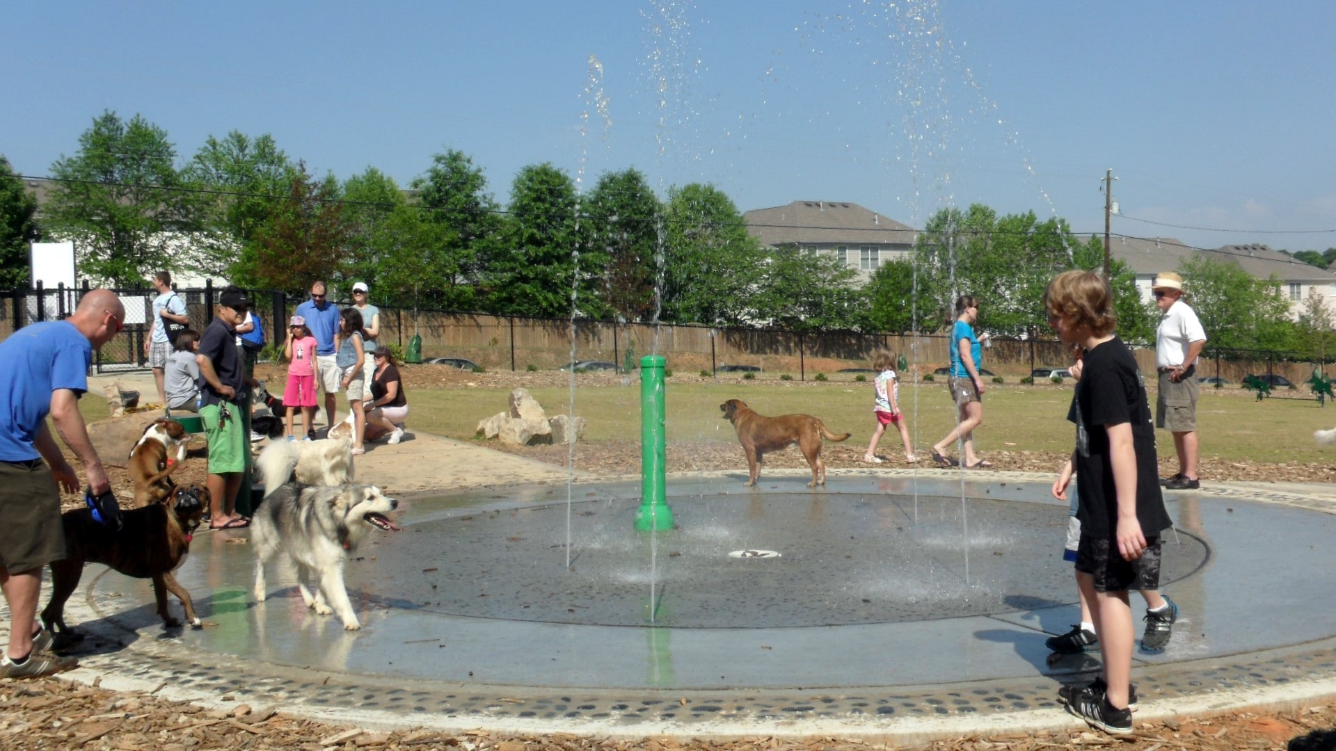 Rogers Bridge Dog Park and Rain Garden