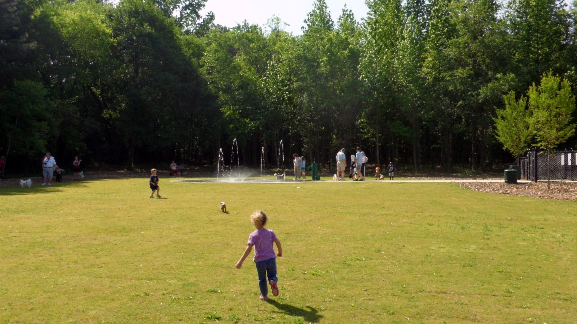 Rogers Bridge Dog Park and Rain Garden