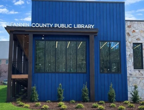 Fannin County Library
