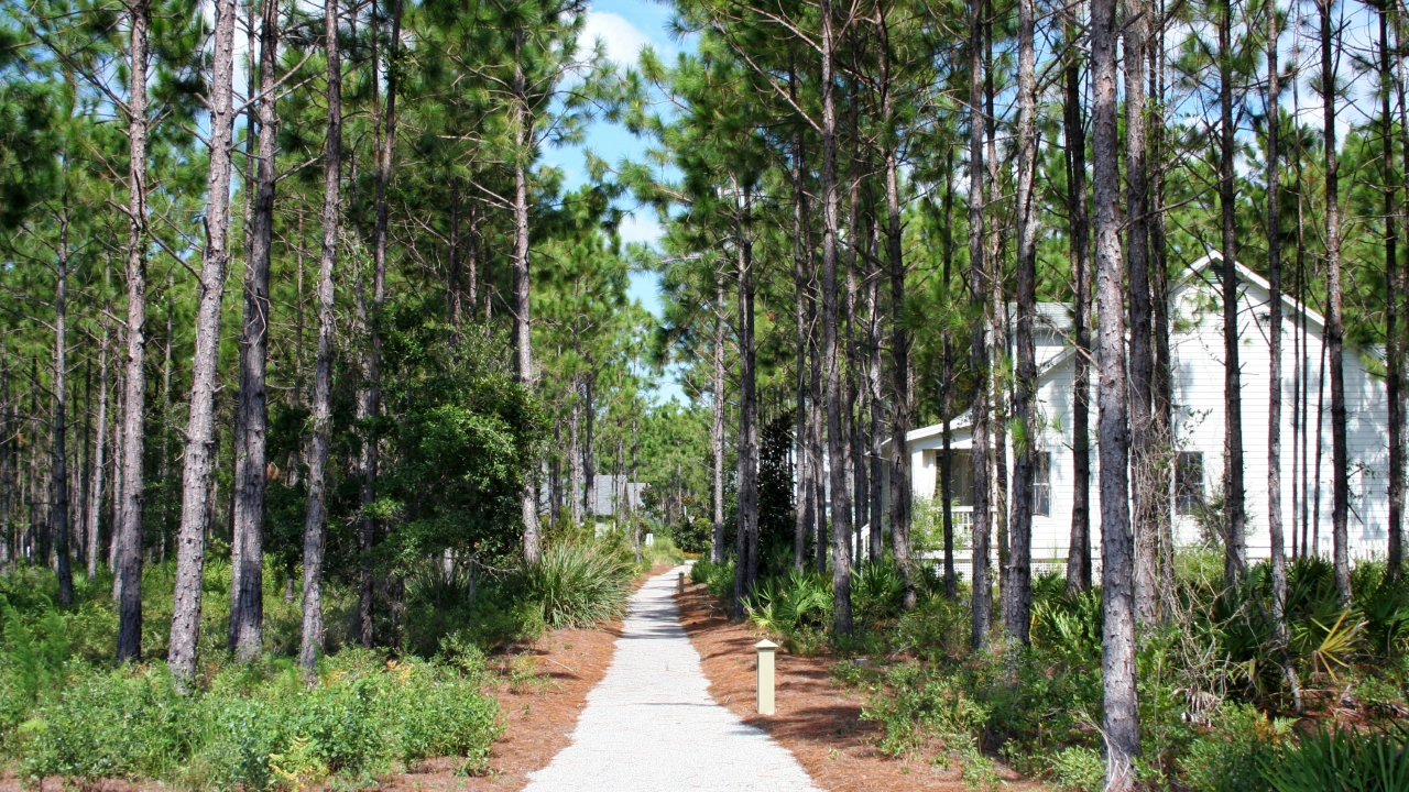 Woodstock Community Parks and Trails