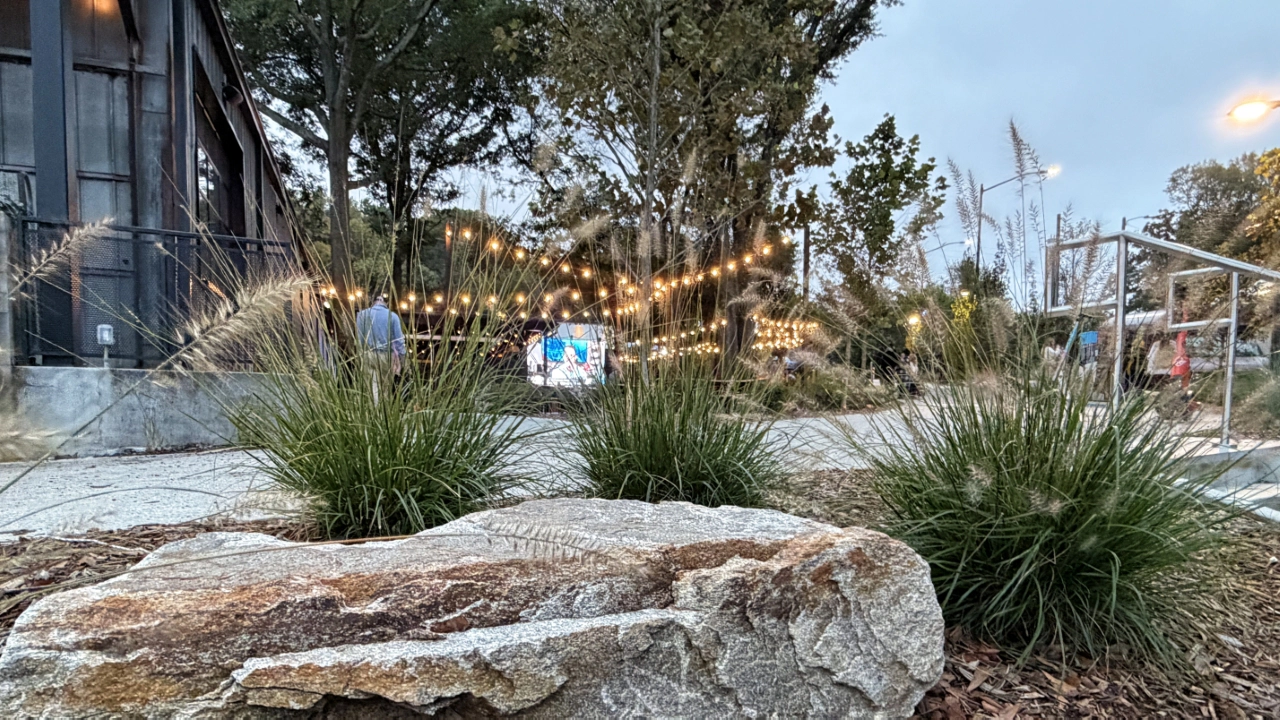 The Grove @ Monday Night Brewing