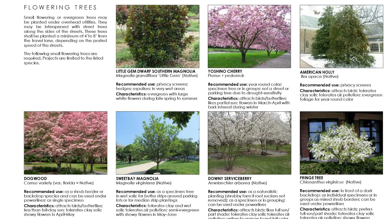 by TSW, Atlanta - Image and text showing appropriate flowering trees