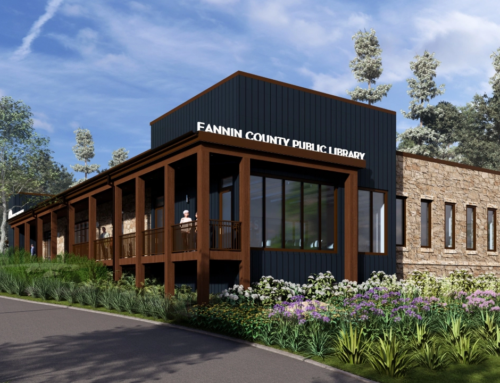 Fannin County Public Library in Blue Ridge