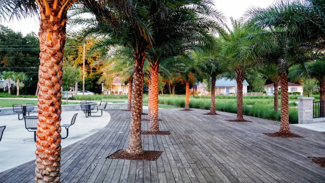 Glynn County Veterans Memorial Park by TSW, Atlanta