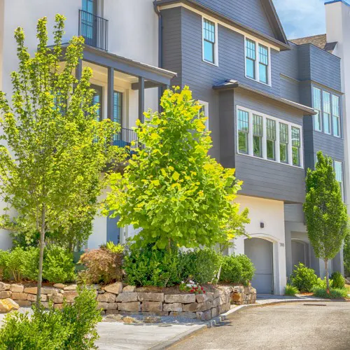 Innovative and Tailored Design Solutions: The TSW Project Experience - Atlanta Community Design, Planning Studio Projects - Manchester Street, a design and rezoning housing project