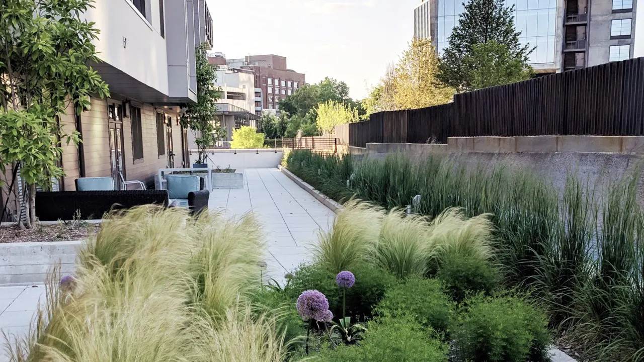 North & Line by TSW Landscape Architecture Studio, Atlanta