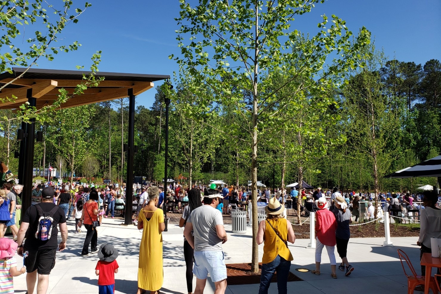 TSW - Peachtree Corners Town Center Park