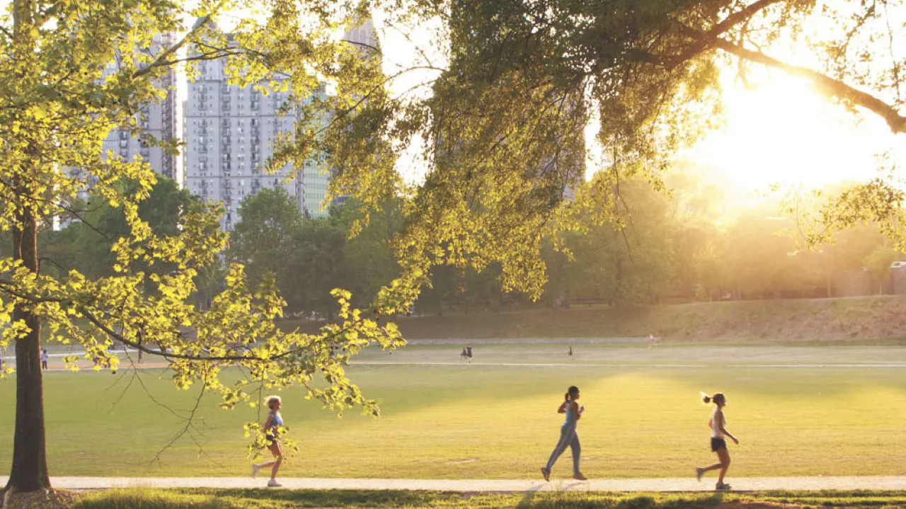Piedmont Park North Woods Master Plan