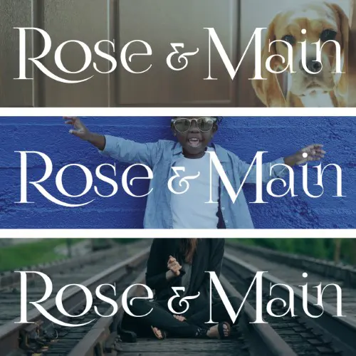 TSW, Atlanta, Environmental Graphics - Rose & Main Brand Standards