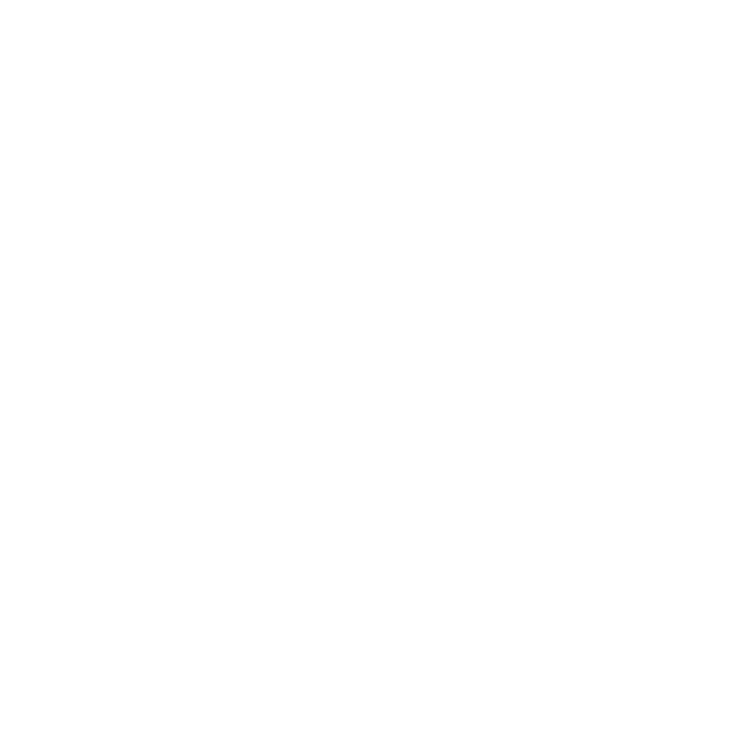 TSW Logo