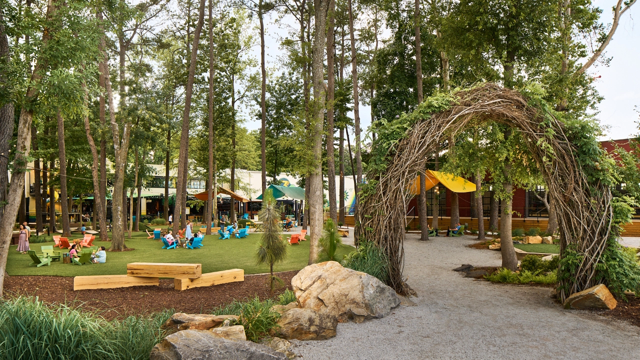 The Camp