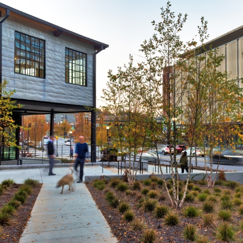 The Mill, Landsacpe Architecture by TSW, Atlanta Georgia