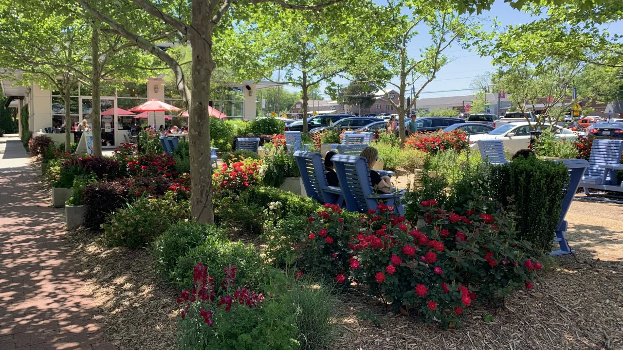 City of Woodstock Downtown Residential and Commercial Development by TSW - lush landscape materials within the open space