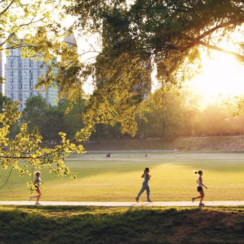 TSW, Atlanta, Landscape Architecture Studio Project, Park & Trail Design - The Active Oval at Piedmont Park